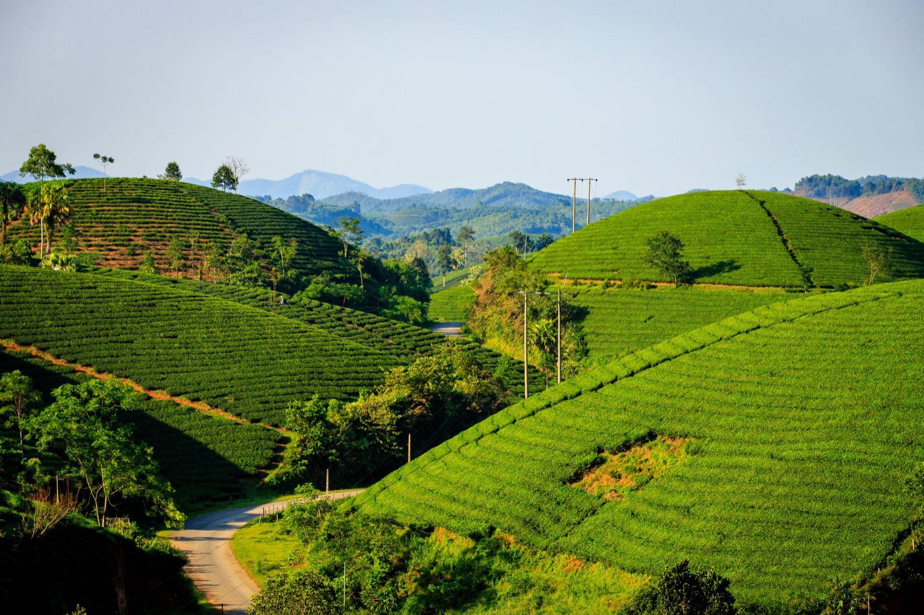 Dien Bien Phu — Where to stay