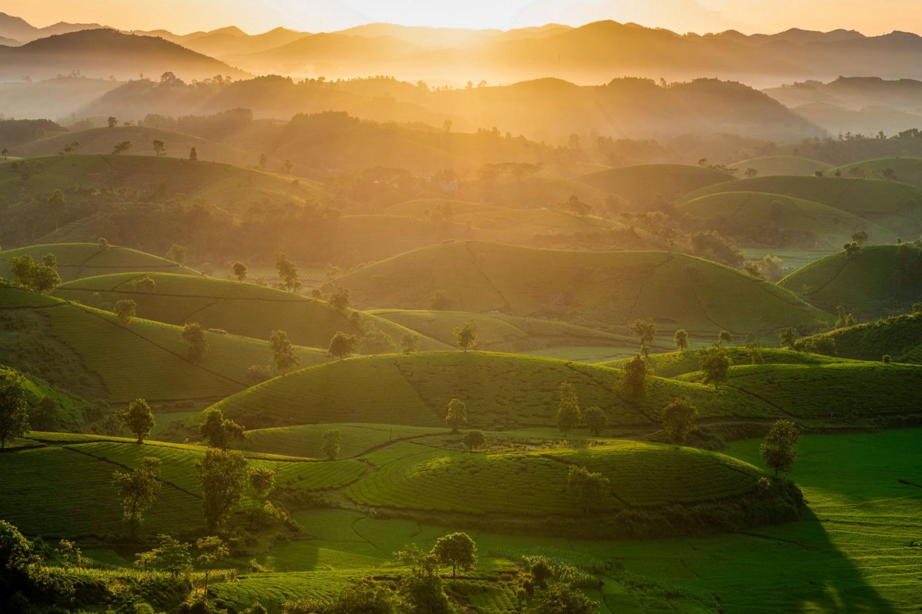 Dien Bien Phu