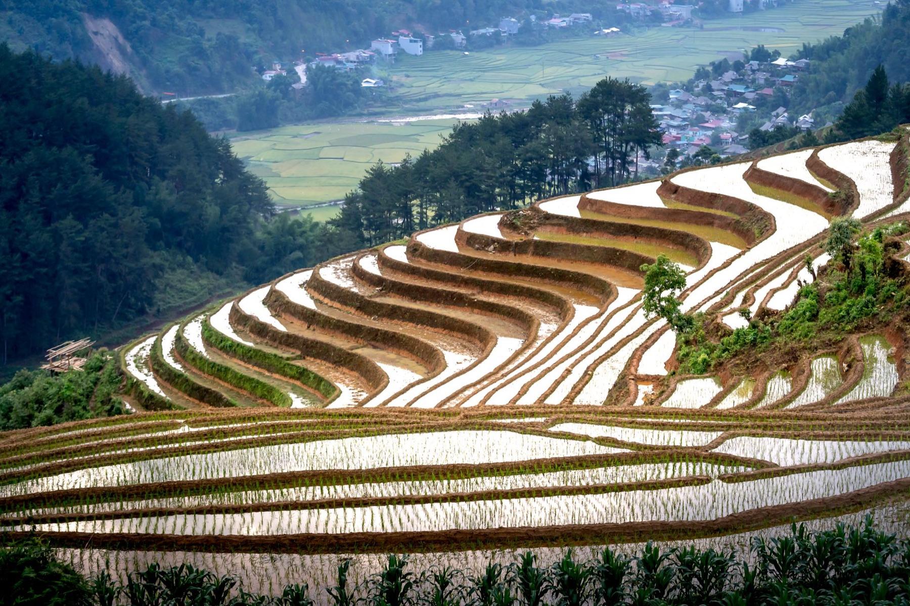 Mu Cang Chai
