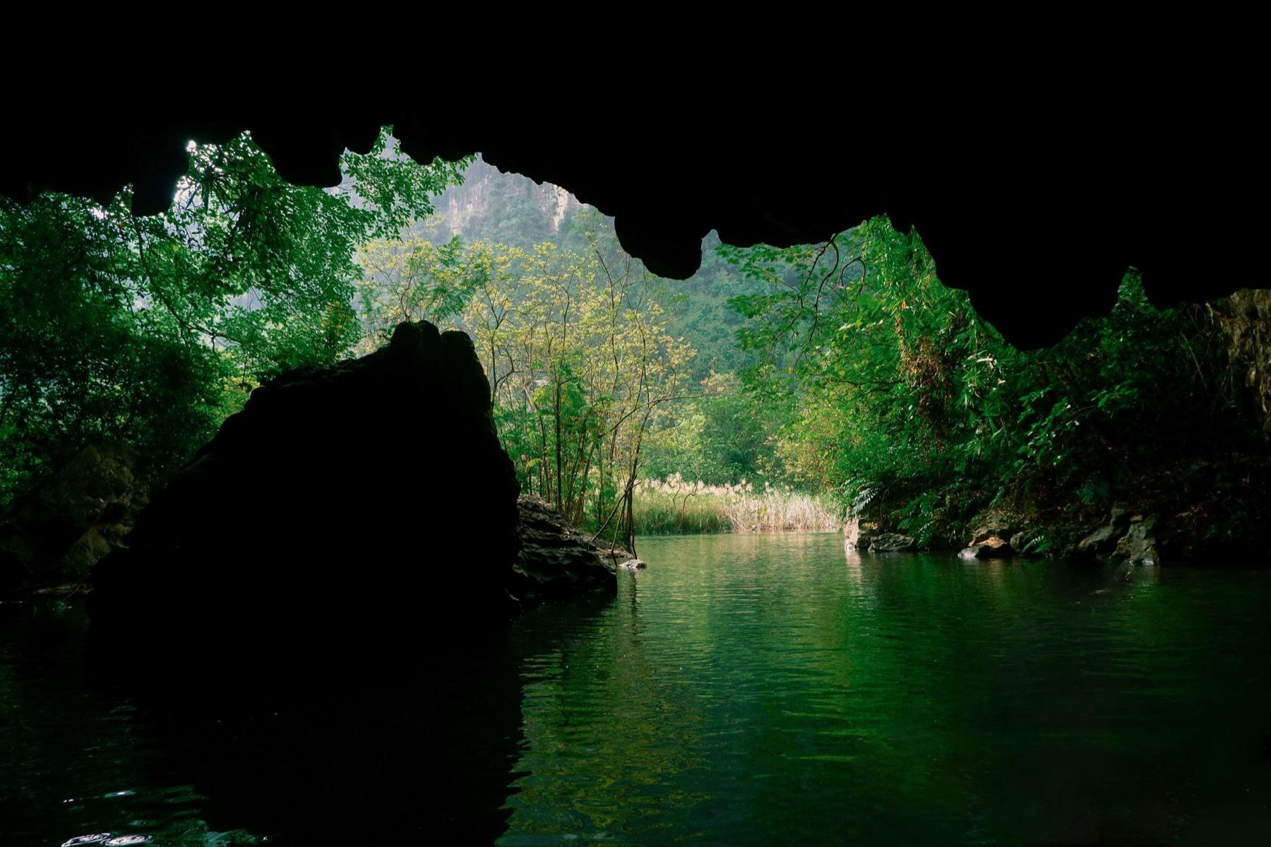 Phong Nha