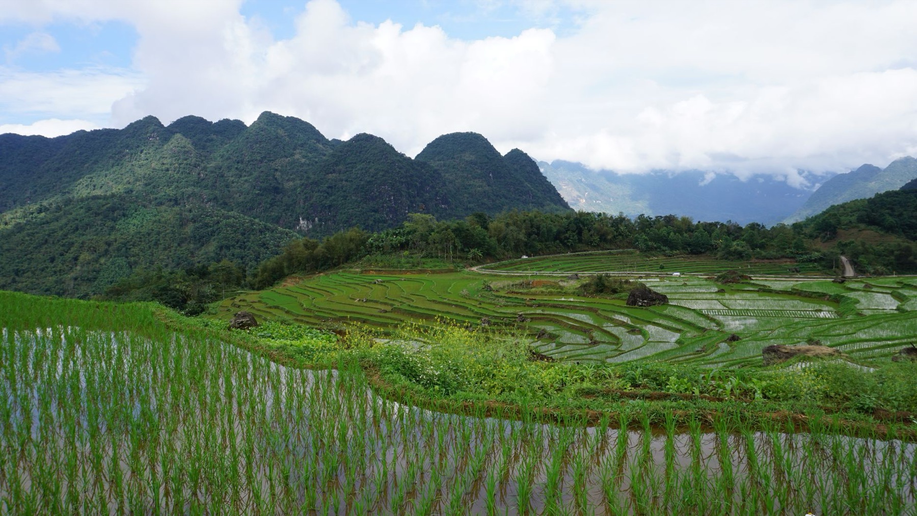 Dien Bien — Explore the breathtaking rice terraces of Pu Luong, Vietnam, offering stunning v