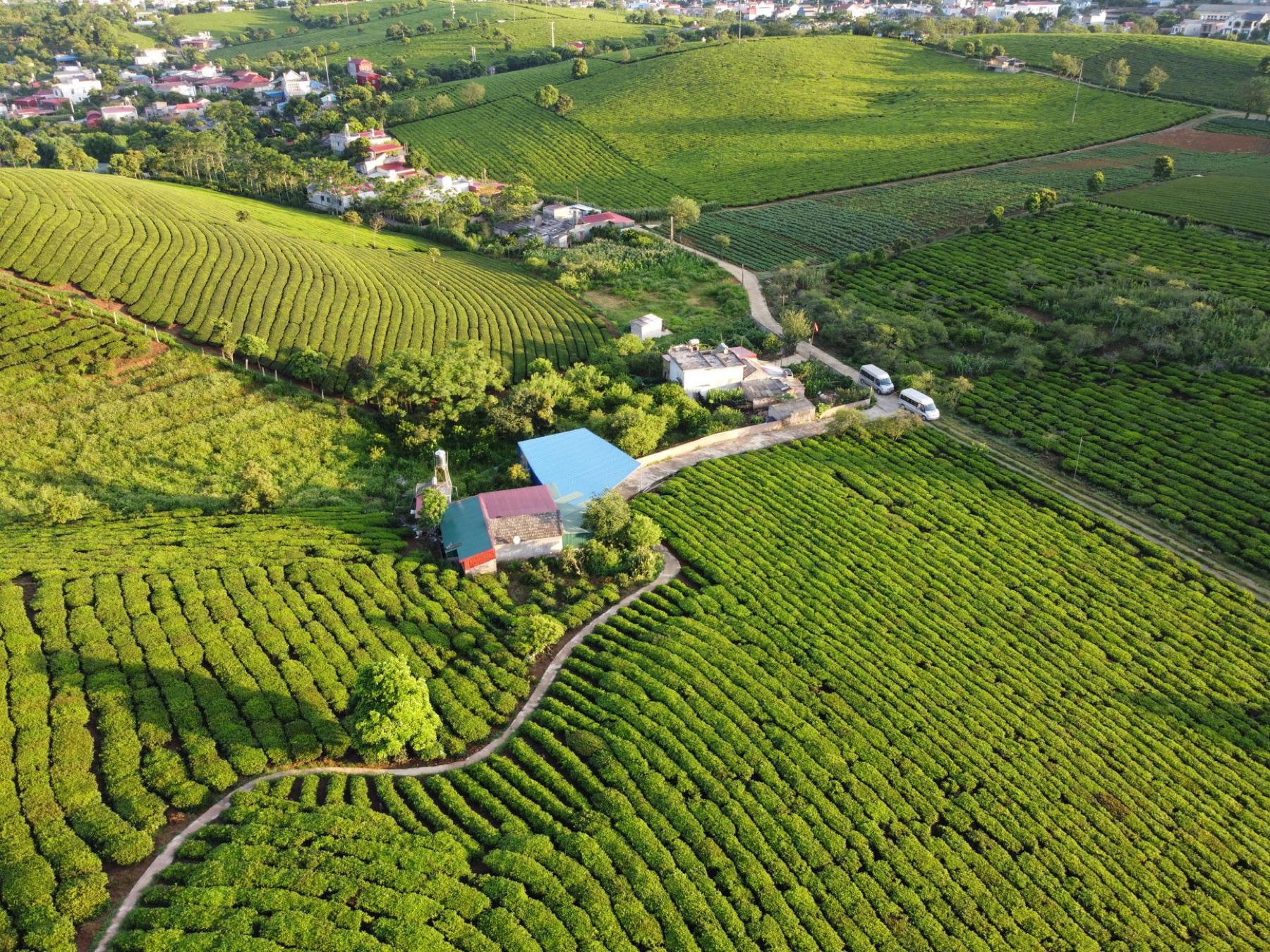 Moc Chau — Aerial view of terraces of agricultural plantations with cultivated crops locate