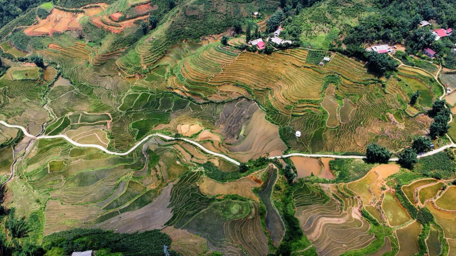 Sapa — A breathtaking aerial shot of terraced rice fields in Lao Cai, Vietnam, showcasi